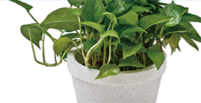 傑斯比塑料(上海)有限公司